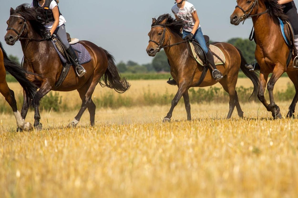 Ferienwohnungen Georgenbruch Everswinkel エクステリア 写真