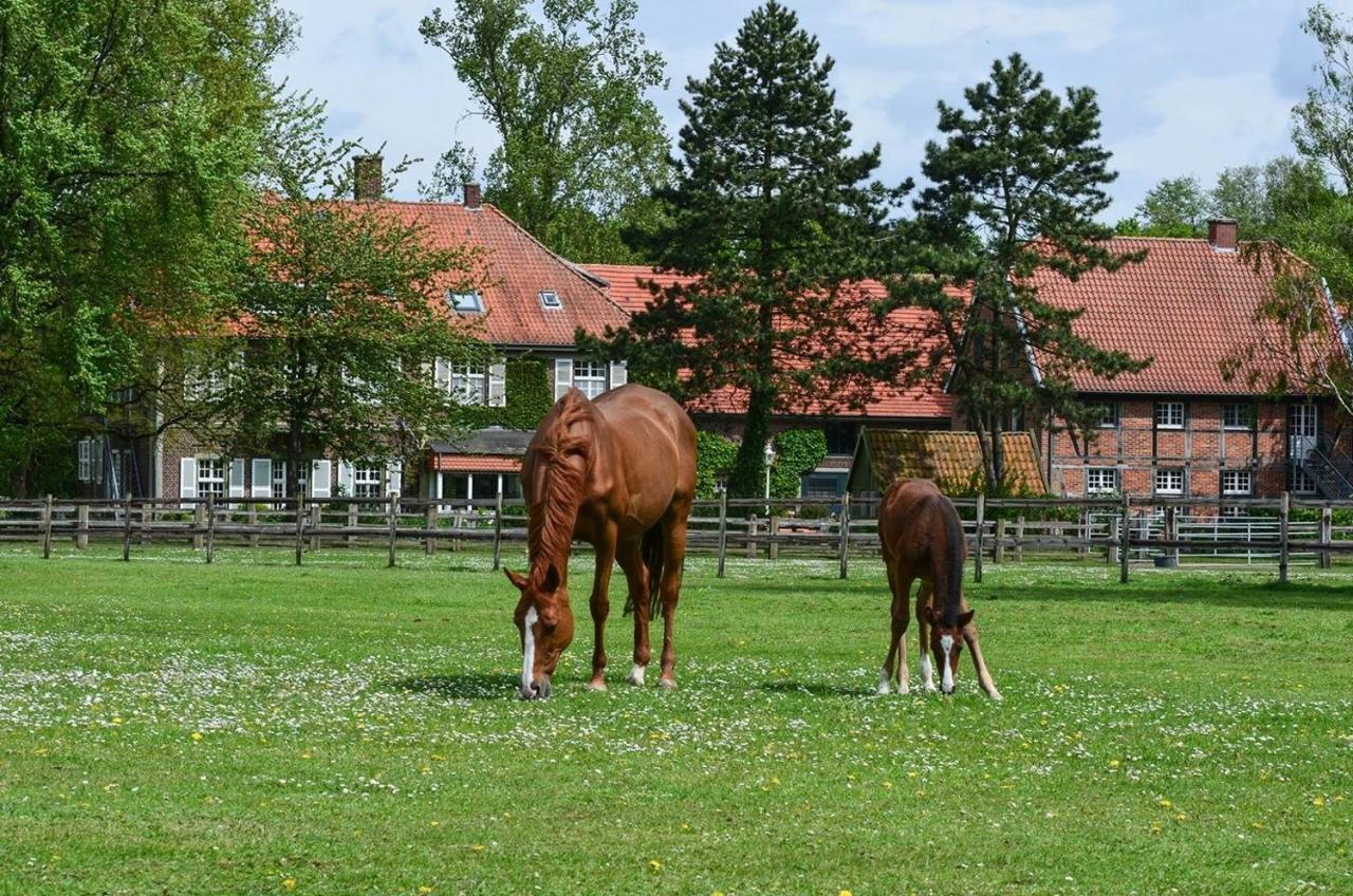 Ferienwohnungen Georgenbruch Everswinkel エクステリア 写真