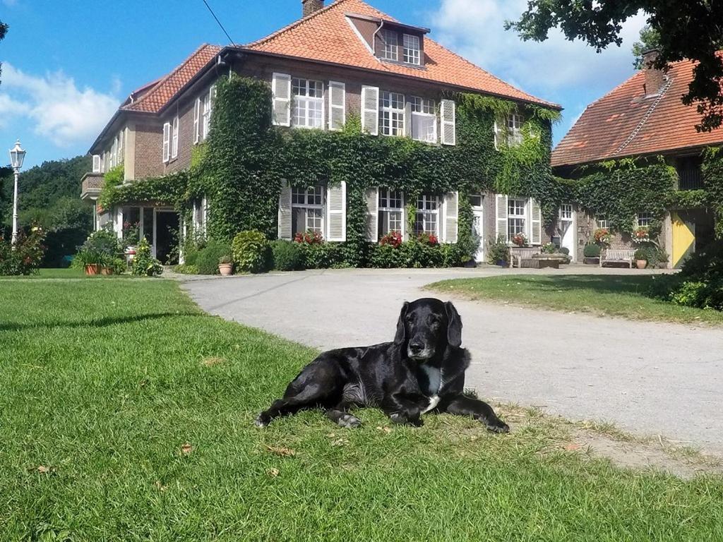 Ferienwohnungen Georgenbruch Everswinkel エクステリア 写真